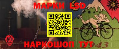 ALPHA PVP Аргун