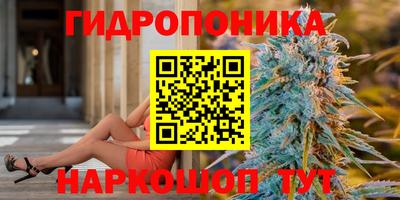 ALPHA PVP Аргун
