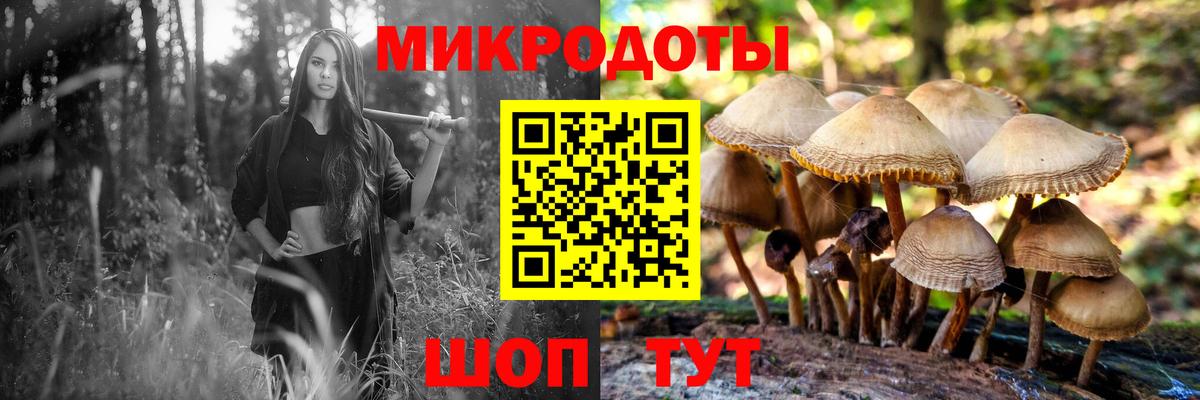 Псилоцибиновые грибы мухоморы  Псилоцибиновые грибы MAGIC MUSHROOMS  Ахтубинск  Вход с VPN 
