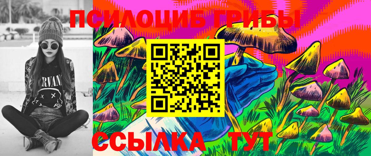 Псилоцибиновые грибы ЛСД Ахтубинск